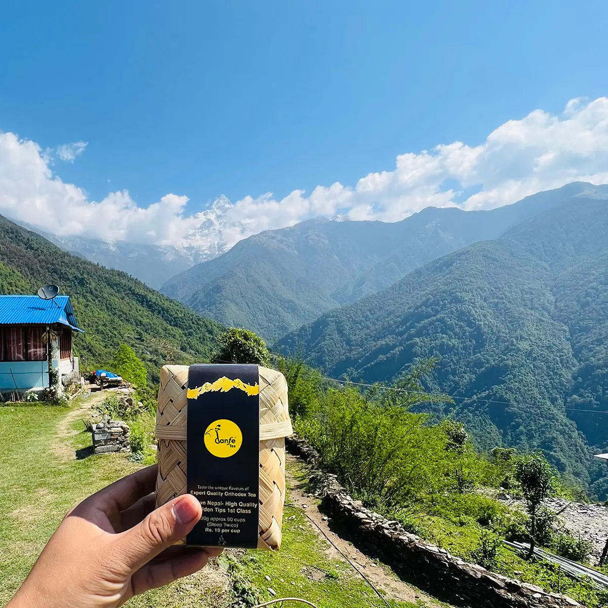 Danfe Vanilla Chai - Image 8