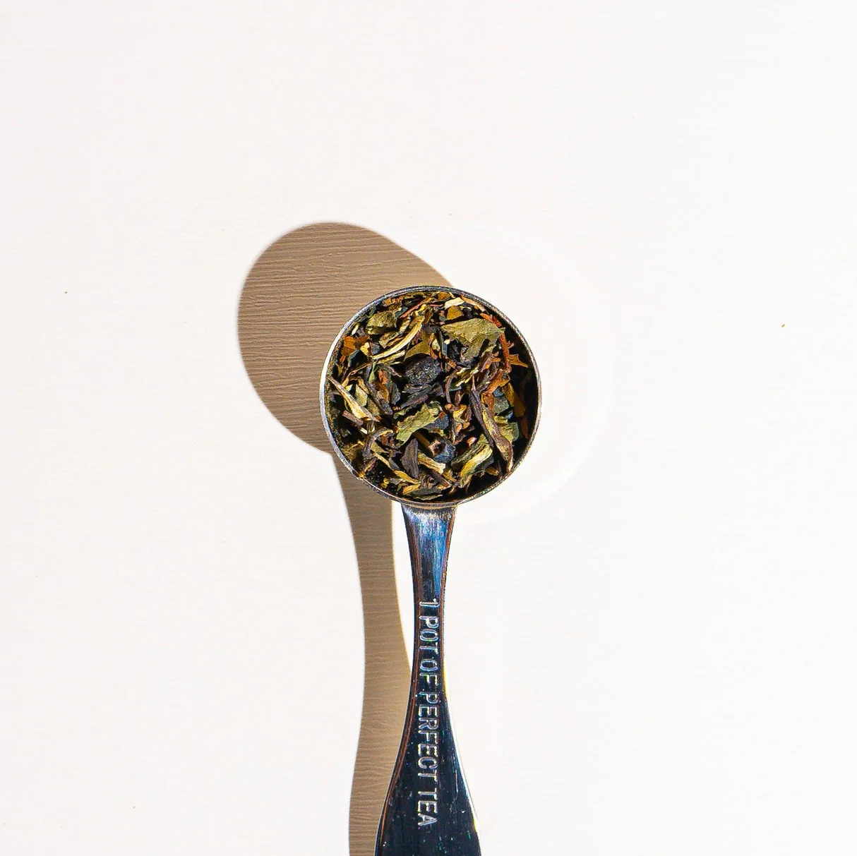 Culinary Teas Blueberry White - Image 2
