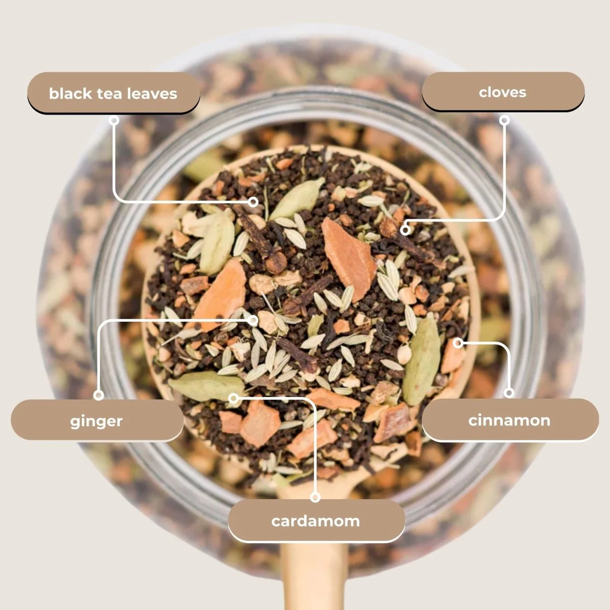 Tea with Tae Bombay Chai Mini Tea Tube (5 tea bags) - Image 3