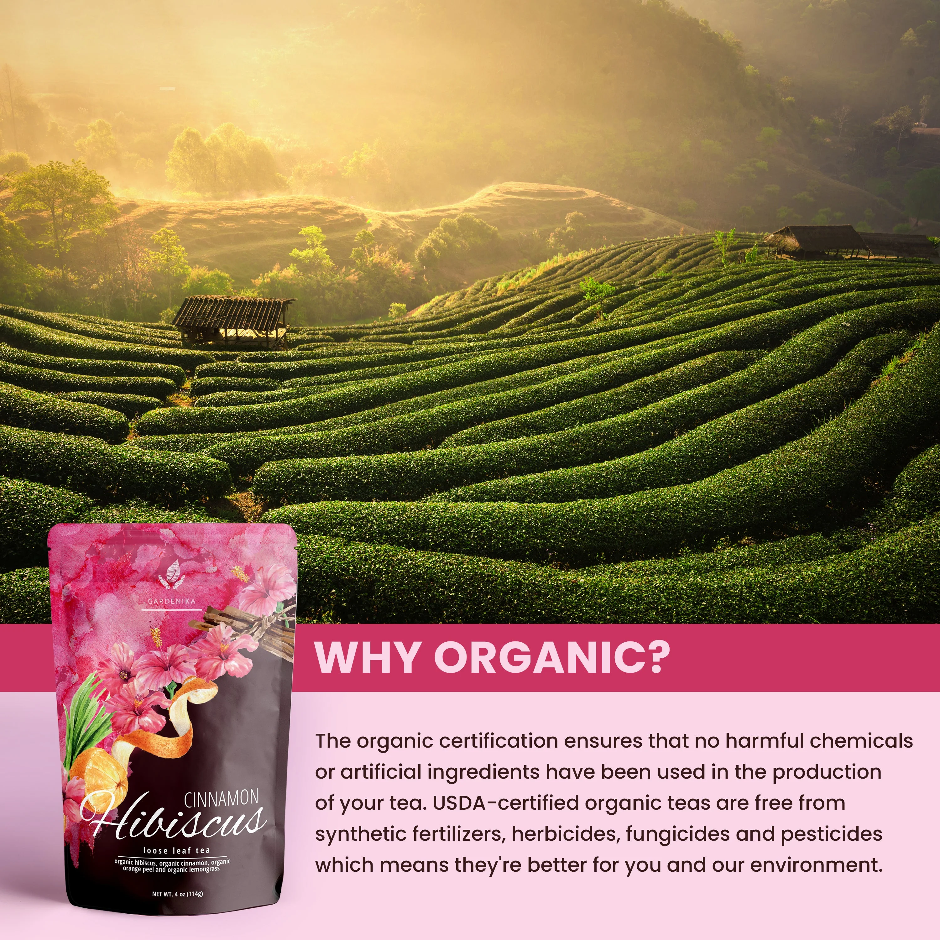 Gardenika Cinnamon Hibiscus Loose Tea, Heart Health & Antioxidant Rich - Caffeine Free - 55+ Cups - USDA Organic & Kosher - 4 oz (113g) - Image 6