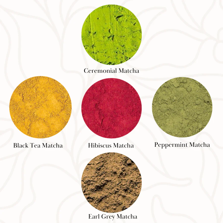 Culinary Teas Matcha Sampler Gift Set