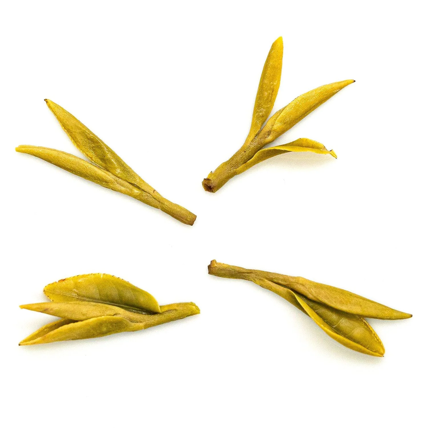 Tea Drunk Multi-Vintage Long Jing Tea Tasting Set - Image 3