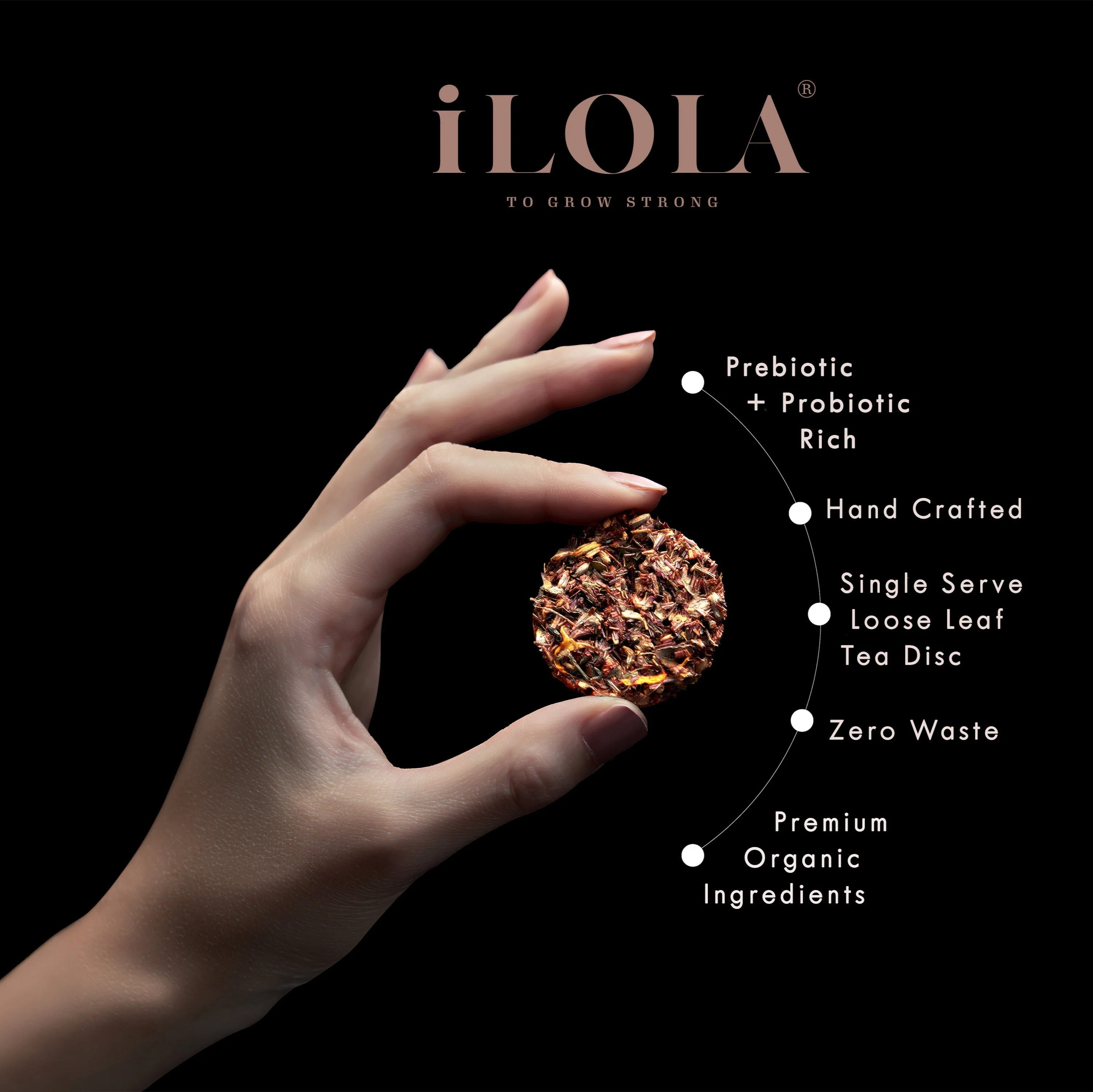iLOLA Sweet Cinnamon Chai No. 40 – Spiced Probiotic White Tea Discs - Image 3