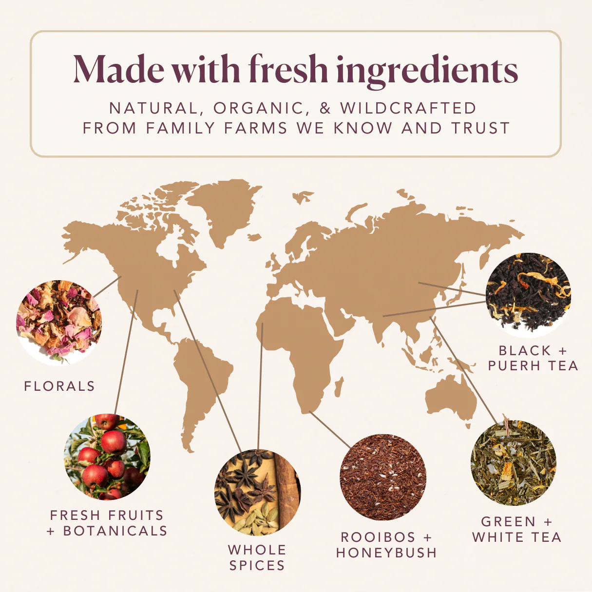 Plum Deluxe Wonder-Full Pomegranate Decaf Black Tea - Image 4